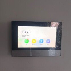 Employee using biometric attendance system