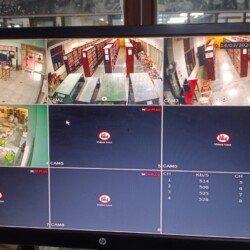 Biometric device scanning fingerprint